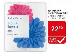 Tesco Springforce Kuchyňské utěrky 2 role, 2 vrstvy nabídka