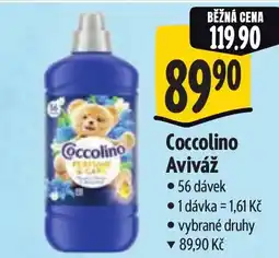 Albert Coccolino Aviváž nabídka
