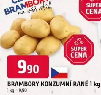 Trefa Brambory konzumní rané nabídka