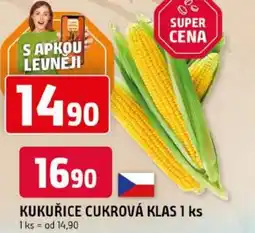 Trefa Kukuřice cukrová klas nabídka