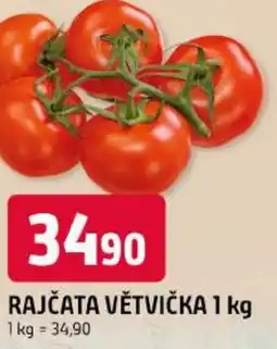 Trefa Rajčata větvička nabídka