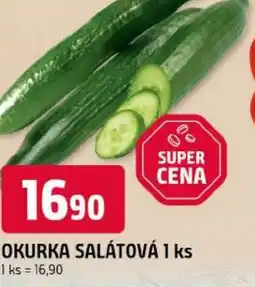 Trefa Okurka salátová nabídka