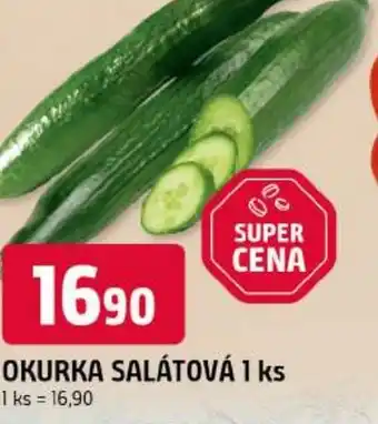 Trefa Okurka salátová nabídka