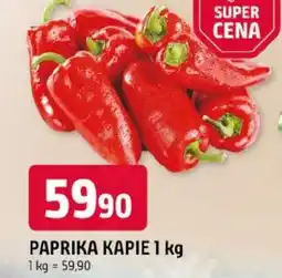 Trefa Paprika kapie nabídka