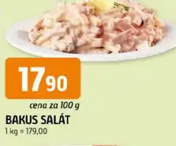 Trefa Bakus salát nabídka