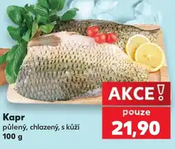 Kaufland Kapr nabídka