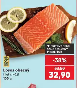 Kaufland Losos obecný nabídka
