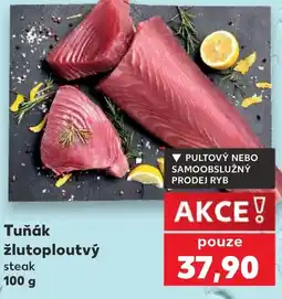 Kaufland Tuňák žlutoploutvý nabídka