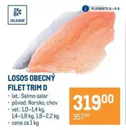 Makro Losos obecný filet trim D nabídka