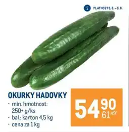 Makro Okurky hadovky nabídka