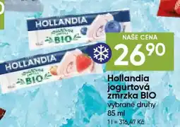 Hruška Hollandia jogurtová zmrzka BIO nabídka