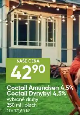 Hruška Coctail Amundsen 4,5% Coctail Dynybyl 4,5% nabídka