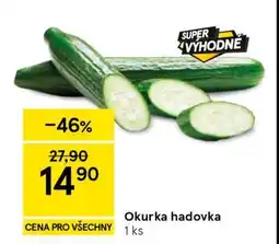 Tesco Okurka hadovka nabídka