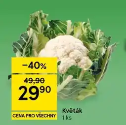 Tesco Květák nabídka