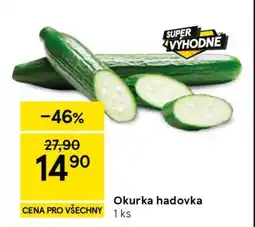 Tesco Okurka hadovka nabídka