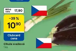 Tesco Cibule svazková nabídka