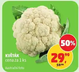 Penny Market Květák nabídka