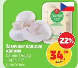 Penny Market Žampiony karlova koruna nabídka