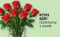 Penny Market Kytice růže nabídka