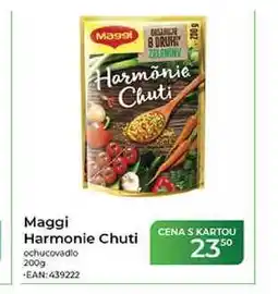 Tamda Foods Maggi Harmonie Chuti ochucovadlo nabídka