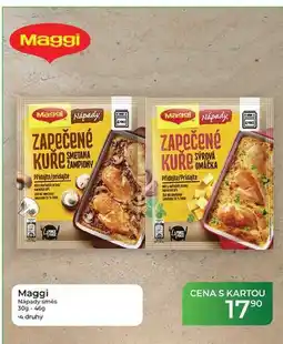 Tamda Foods Maggi Nápady směs 30g-46g nabídka