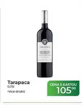 Tamda Foods Tarapaca nabídka