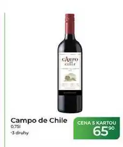 Tamda Foods Campo de Chile nabídka