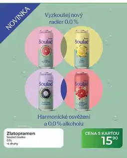 Tamda Foods Zlatopramen Soulad nealko nabídka
