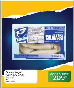 Tamda Foods Ocean Angel (MUC MY HOP) Mraz sépie nabídka