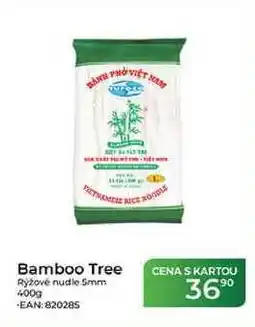 Tamda Foods ET NAM Bamboo Tree Ryžové nudle 5mm nabídka