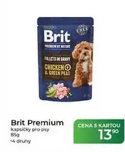Tamda Foods Brit Premium kapsičky pro psy nabídka
