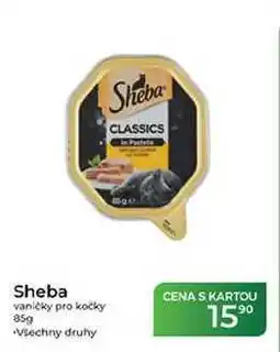 Tamda Foods Sheba vaničky pro kočky nabídka