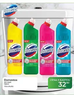 Tamda Foods Domestos WC čistič nabídka