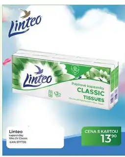 Tamda Foods Linteo kapesníčky 10ks ZV Classic nabídka