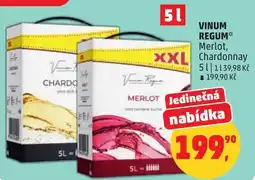 Penny Market Vinum regum nabídka
