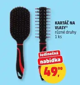 Penny Market Kartáč na vlasy nabídka