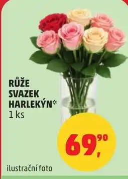 Penny Market Růže svazek harlekýn nabídka