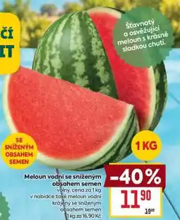 Billa Meloun vodní se sníženým obsahem semen nabídka