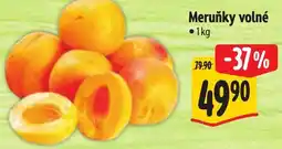 Albert Meruňky volné nabídka
