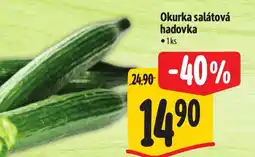 Albert Okurka salátová hadovka nabídka