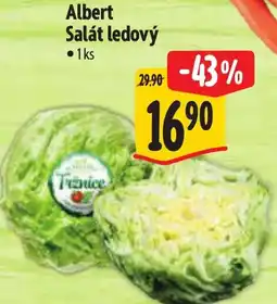 Albert Albert Salát ledový nabídka