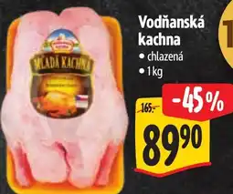 Albert Vodňanská kachna nabídka
