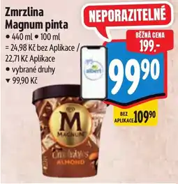 Albert Zmrzlina Magnum pinta nabídka
