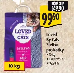 Albert Loved By Cats Stelivo pro kočky nabídka