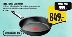 Albert Tefal Pánev Excellence nabídka
