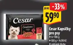 Albert CESAR KAPSIČKY PRO PSY nabídka