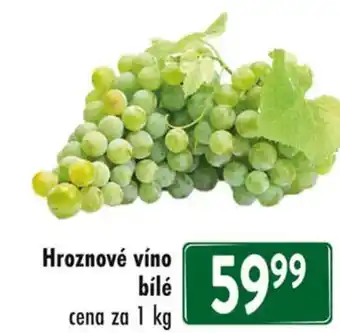 Qanto Hroznové víno bílé nabídka