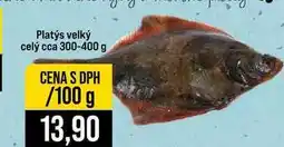Jip Platýs velký celý cca 300-400 g 100g nabídka