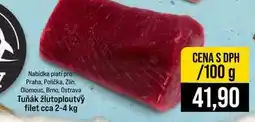 Jip Tuňák žlutoploutvý filet cca 2-4 kg 100g nabídka