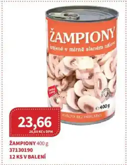 Kubík potraviny Žampiony nabídka